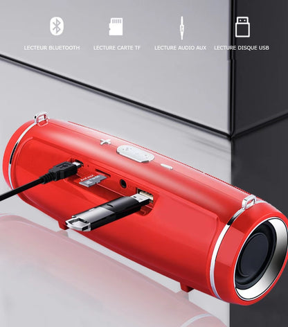 Enceinte Bluetooth Portable 200W IPX7 Étanche